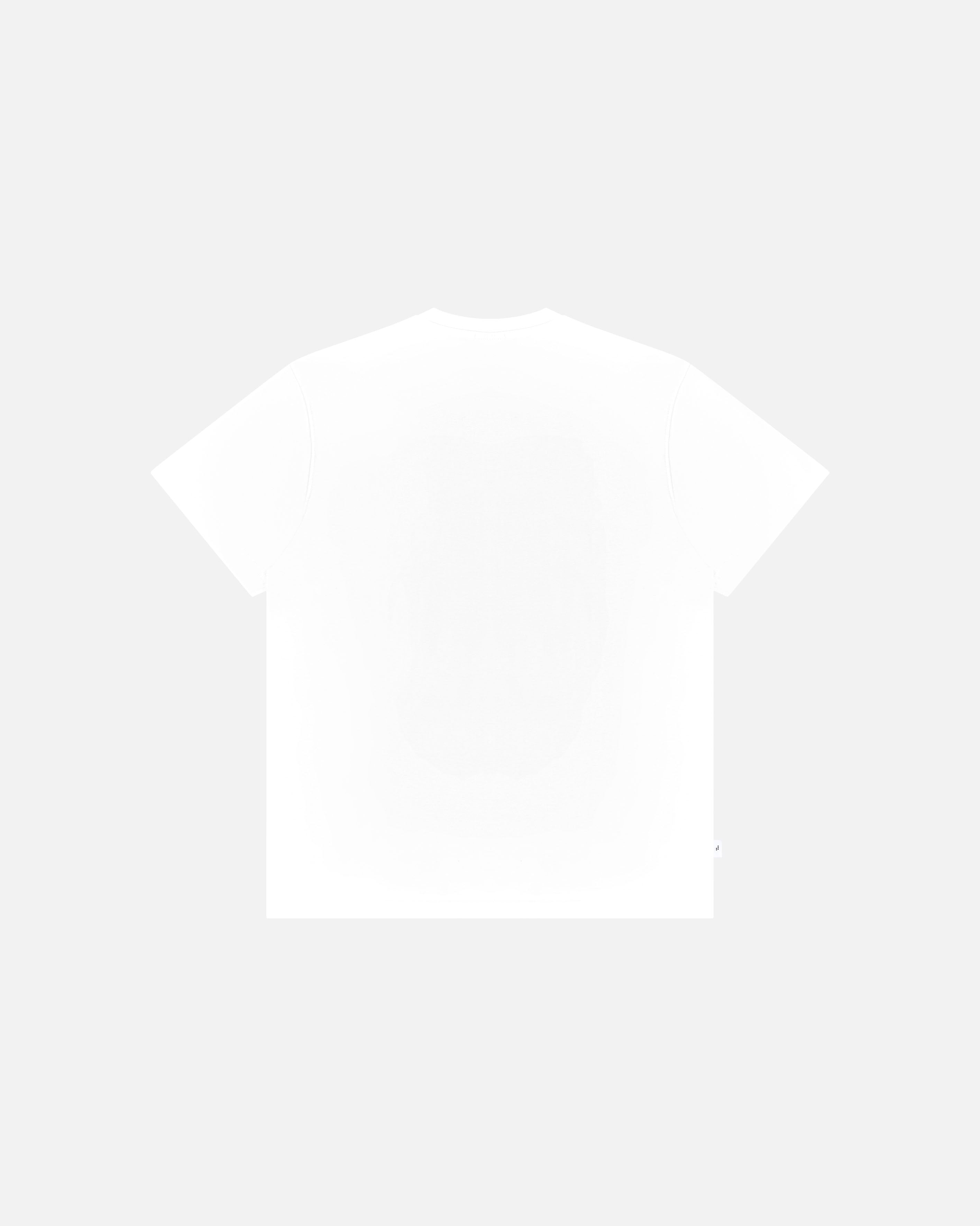 AOF Bristol Rovers Printed Classics Tee | ART OF Football White Tee